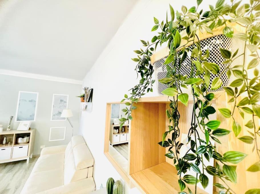 Suite Colibri - Sanremo Centro ภายนอก รูปภาพ