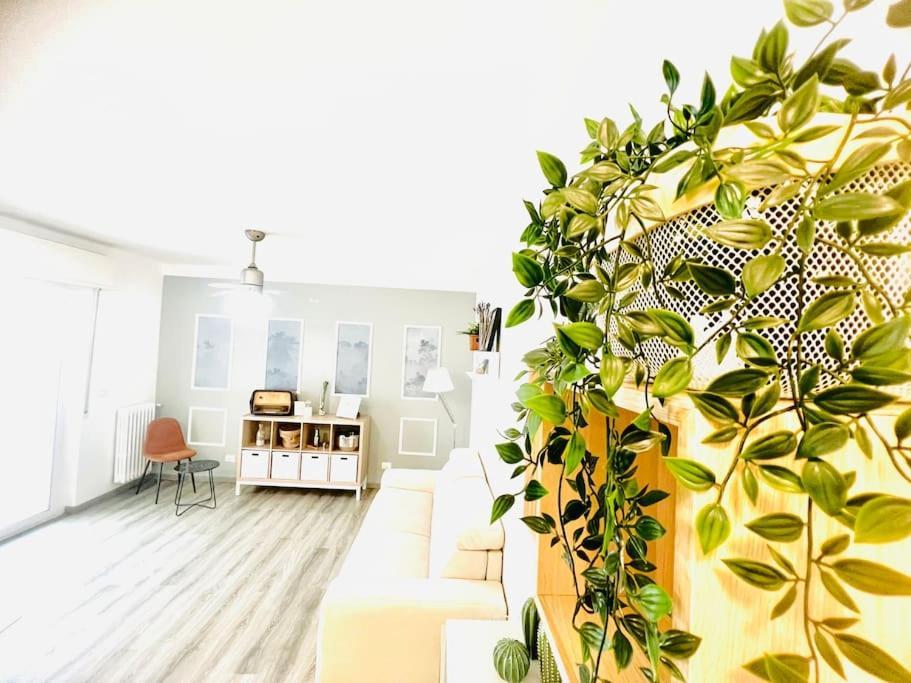 Suite Colibri - Sanremo Centro ภายนอก รูปภาพ