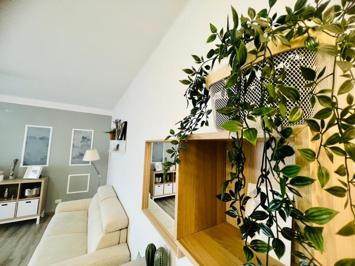 Suite Colibri - Sanremo Centro ภายนอก รูปภาพ